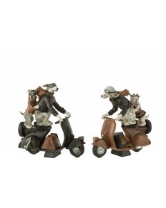 Hunde auf scooter poly mix small 2 sortiert